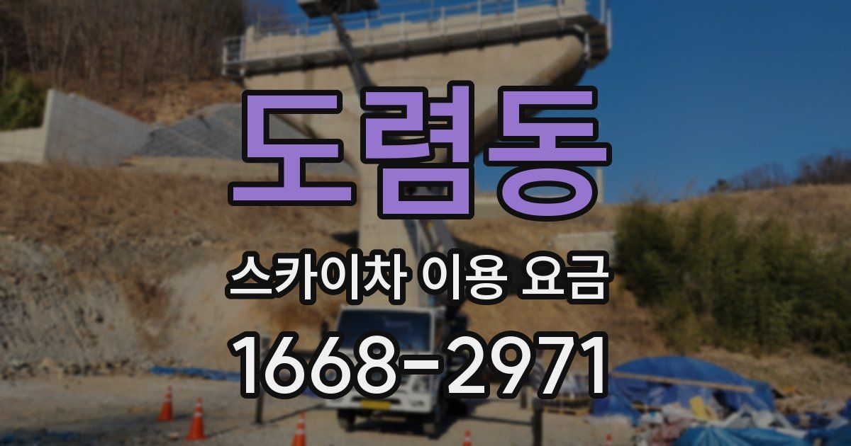 도렴동 스카이차 이용 요금