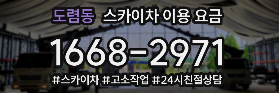 도렴동 스카이차 이용 요금