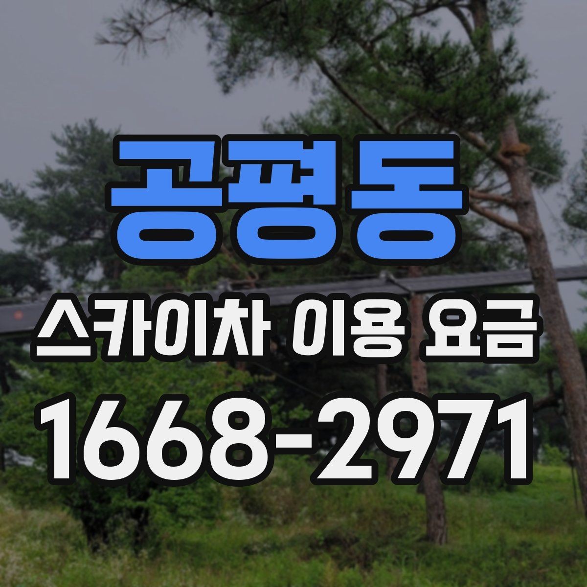 공평동 스카이차 이용 요금 문의 전 준비하면 좋은 정보