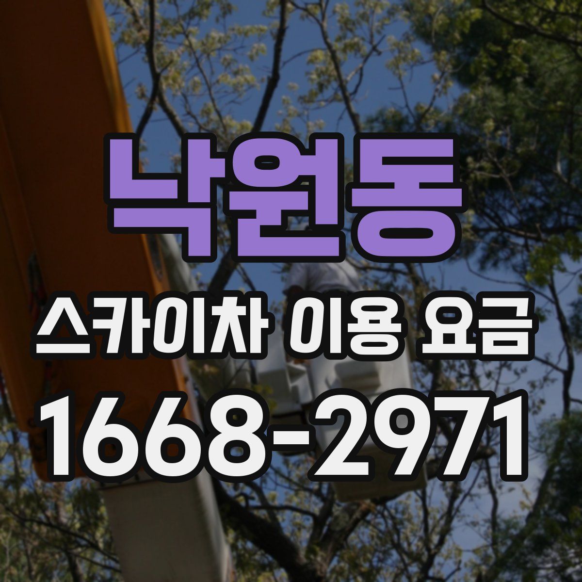 낙원동 스카이차 이용 요금