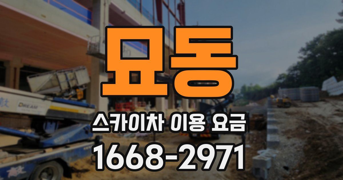 묘동 스카이차 이용 요금