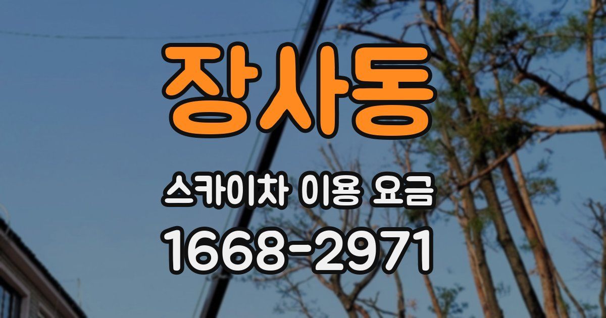 장사동 스카이차 이용 요금