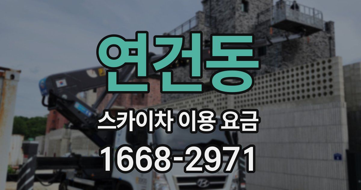 연건동 스카이차 이용 요금