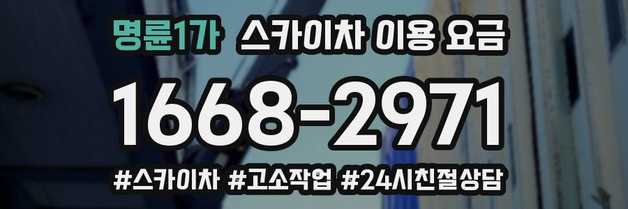 명륜1가 스카이차 이용 요금