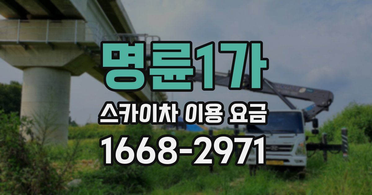 명륜1가 스카이차 이용 요금