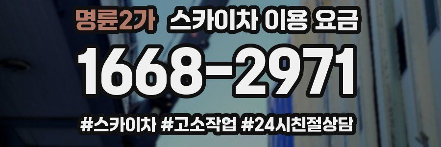 명륜2가 스카이차 이용 요금