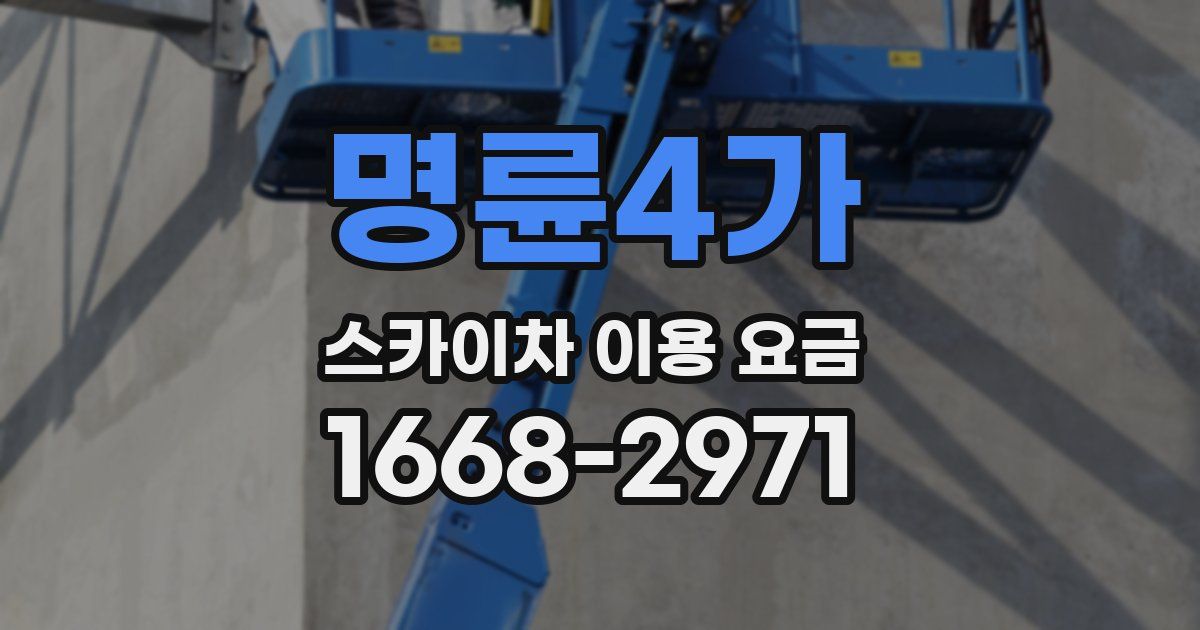 명륜4가 스카이차 이용 요금