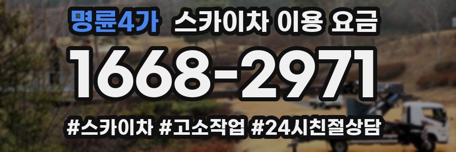 명륜4가 스카이차 이용 요금