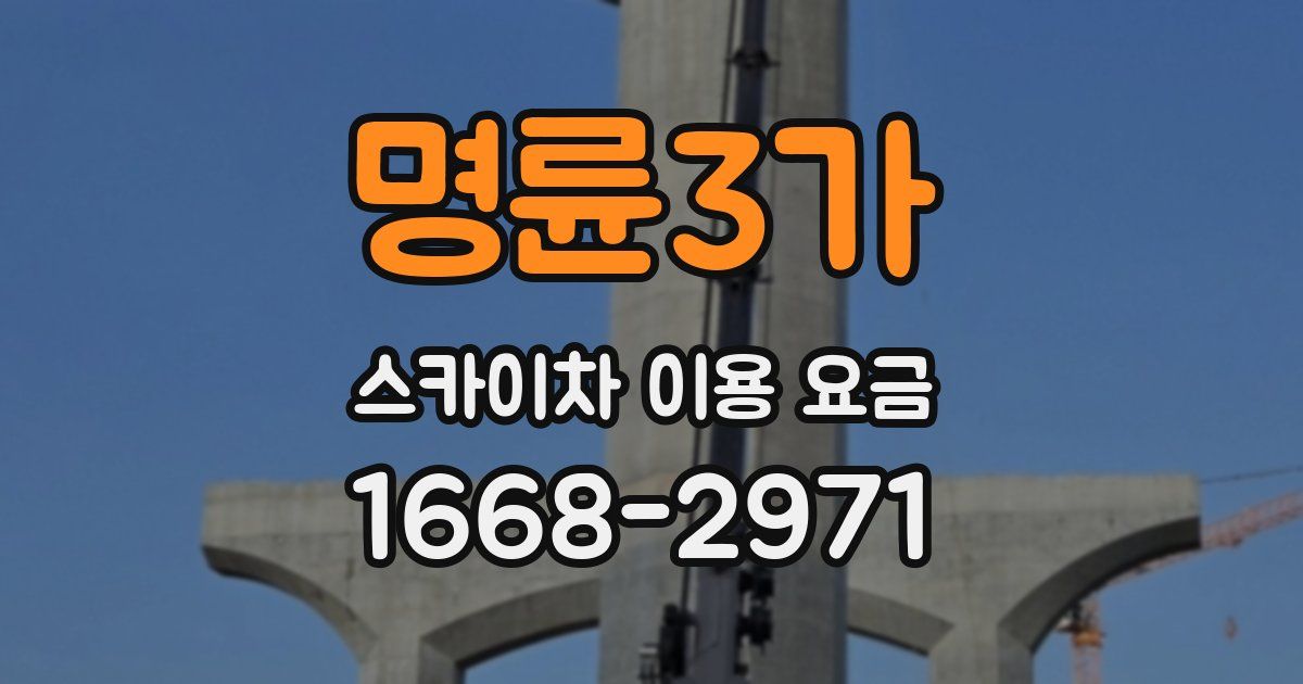 명륜3가 스카이차 이용 요금