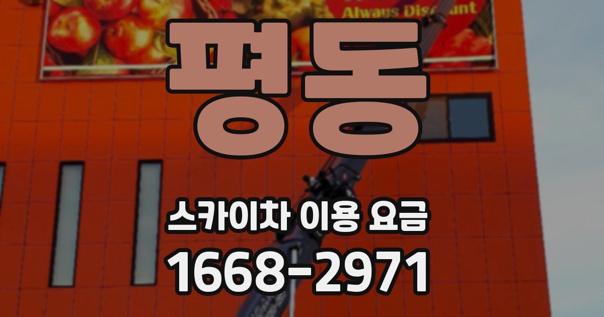 평동 스카이차 이용 요금
