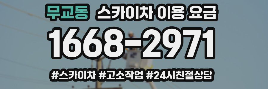 무교동 스카이차 이용 요금