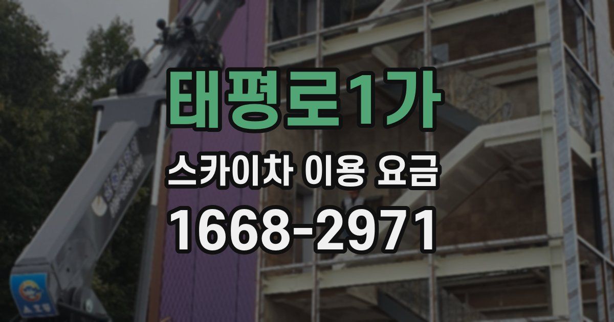 태평로1가 스카이차 이용 요금