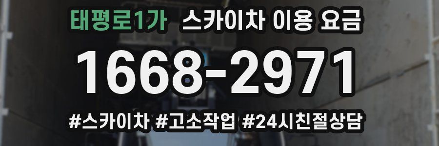 태평로1가 스카이차 이용 요금