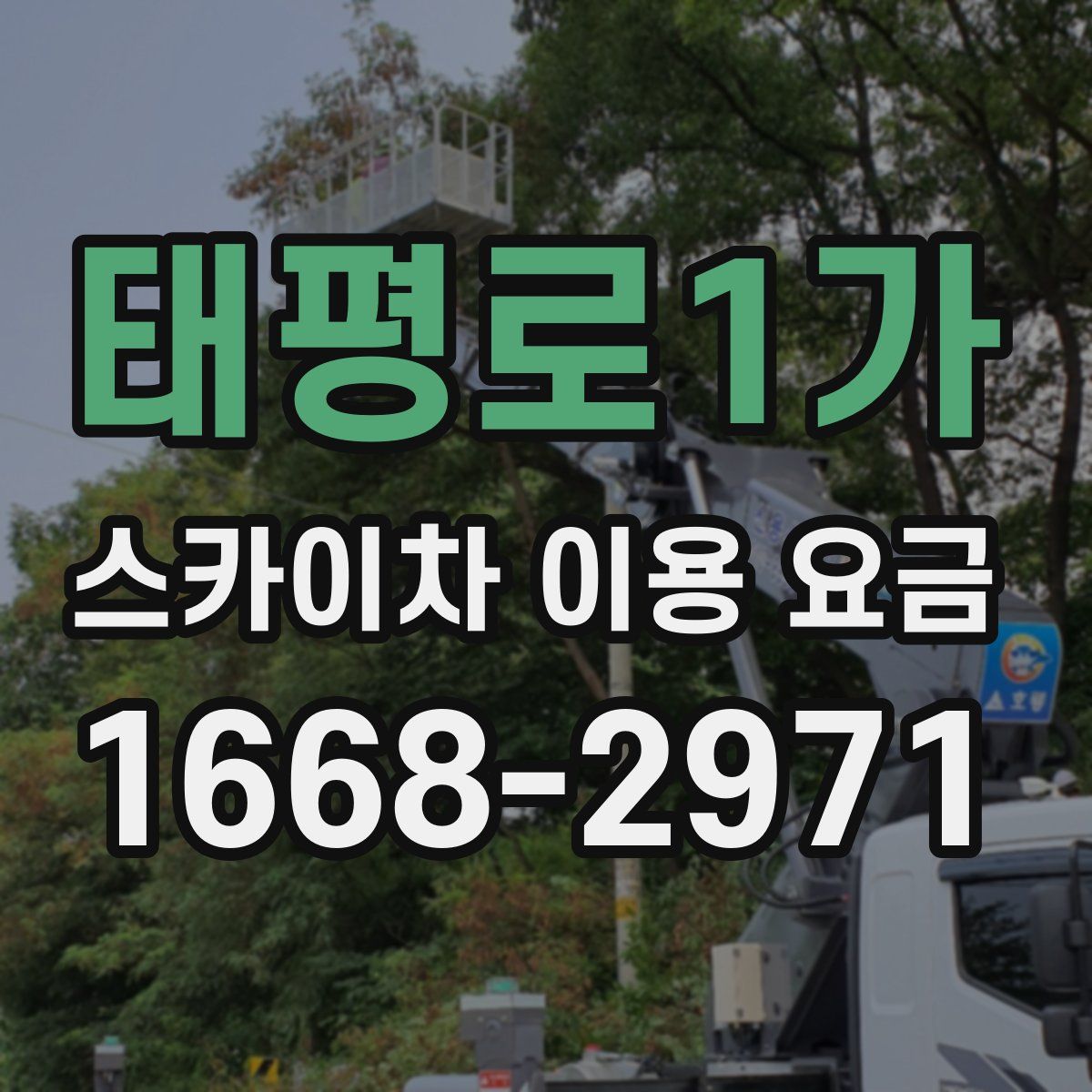 태평로1가 스카이차 이용 요금