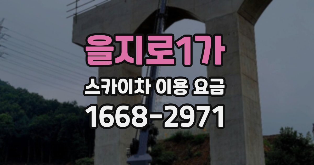 을지로1가 스카이차 이용 요금
