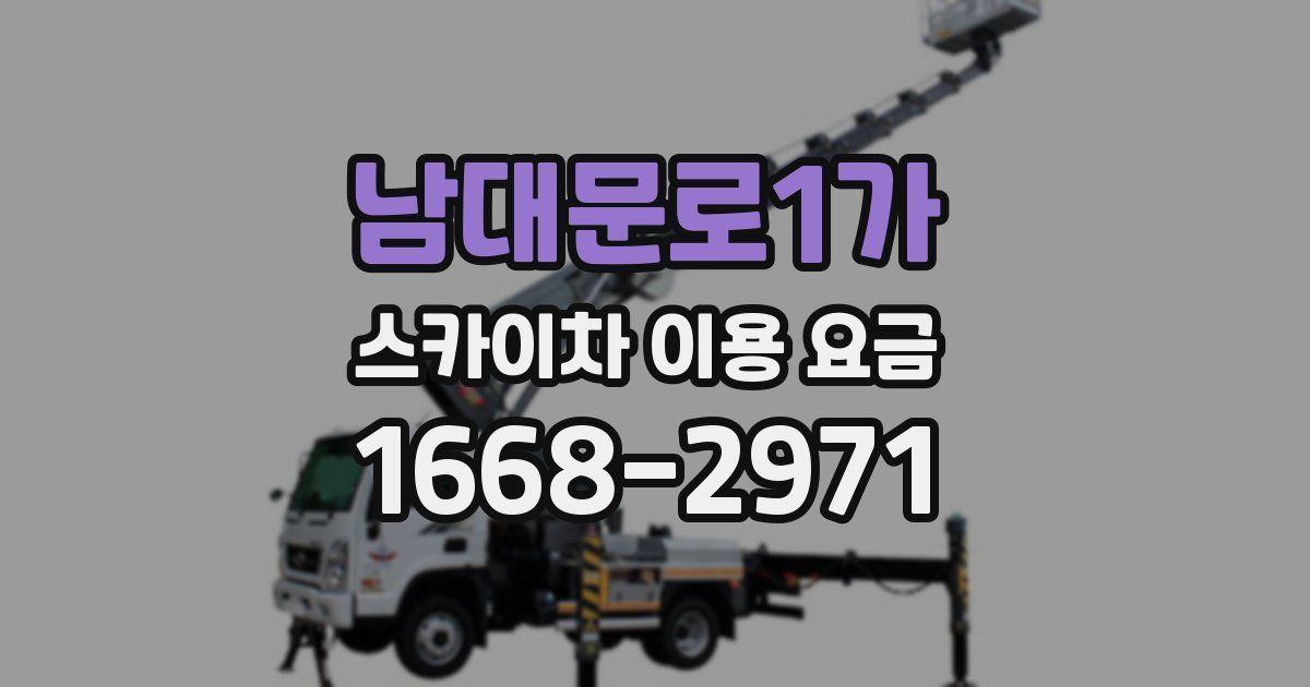 남대문로1가 스카이차 이용 요금