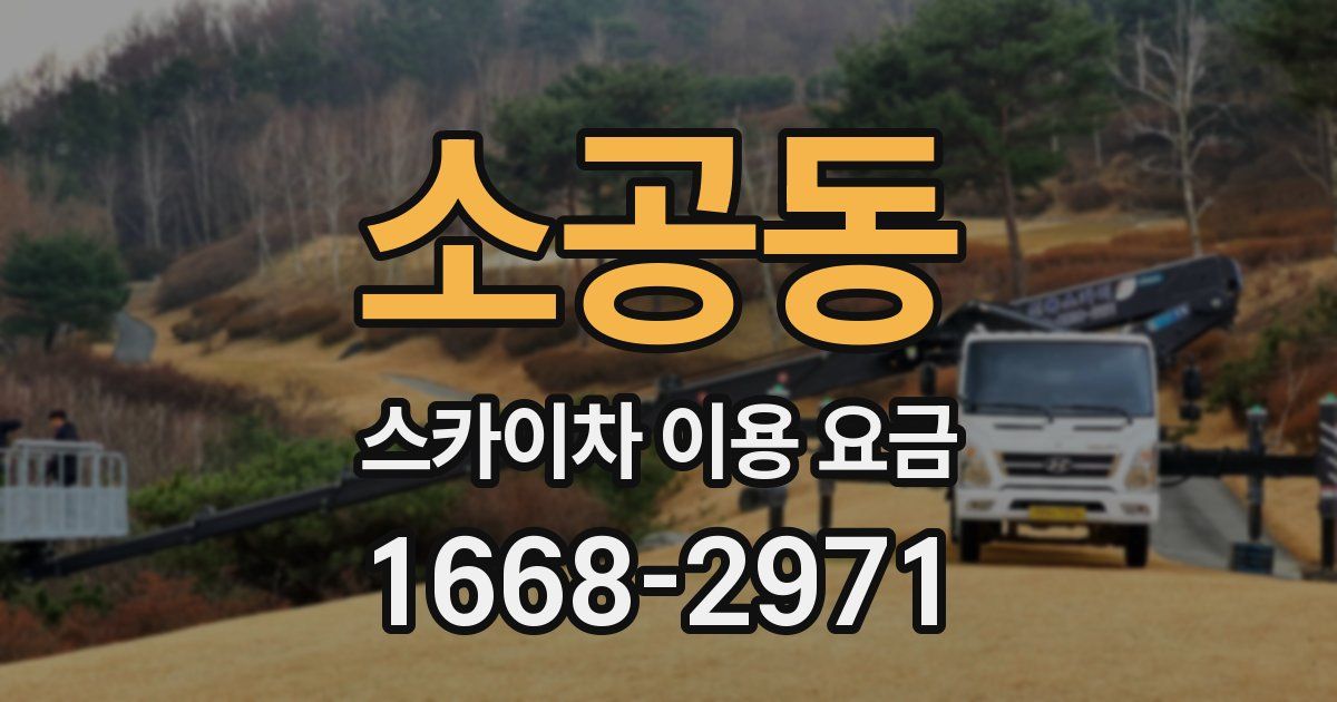 소공동 스카이차 이용 요금