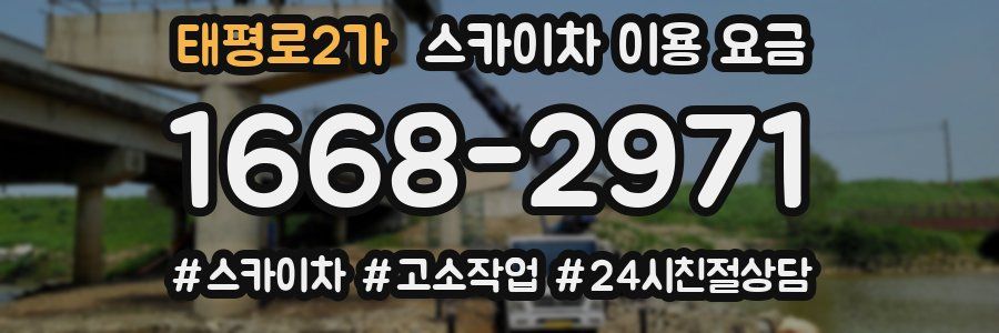 태평로2가 스카이차 이용 요금