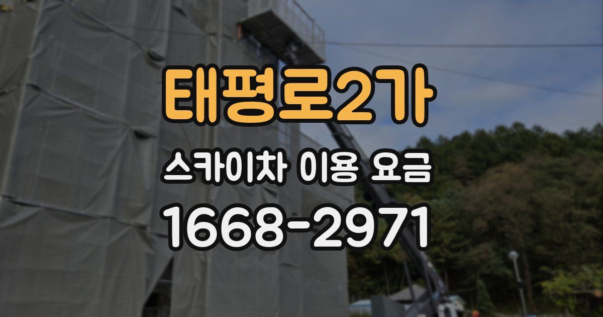 태평로2가 스카이차 이용 요금