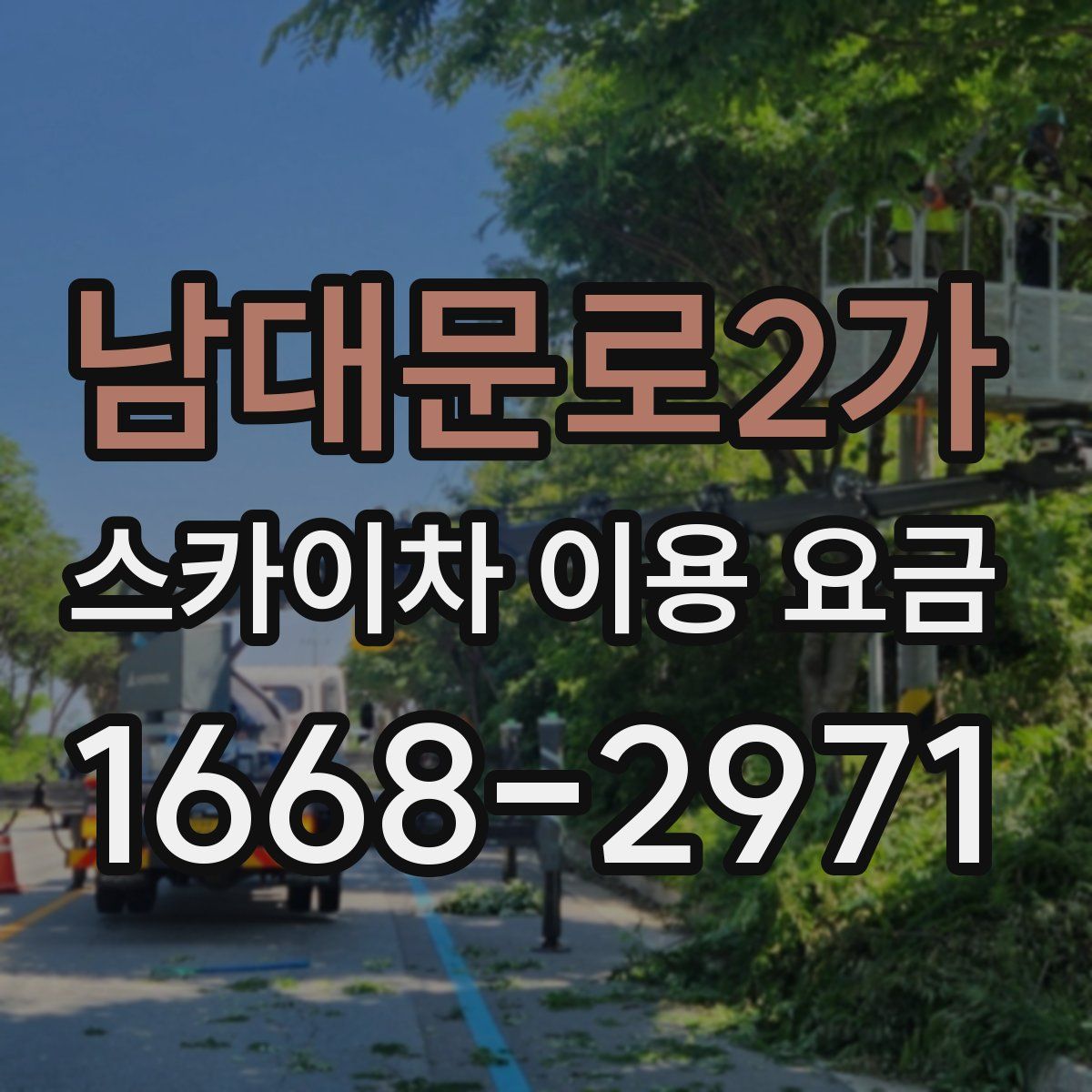 남대문로2가 스카이차 이용 요금