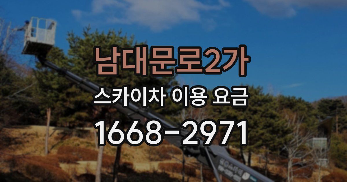 남대문로2가 스카이차 이용 요금