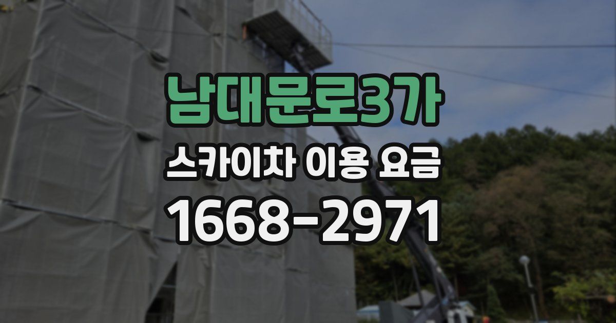 남대문로3가 스카이차 이용 요금