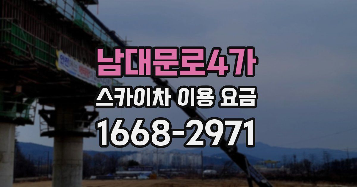 남대문로4가 스카이차 이용 요금
