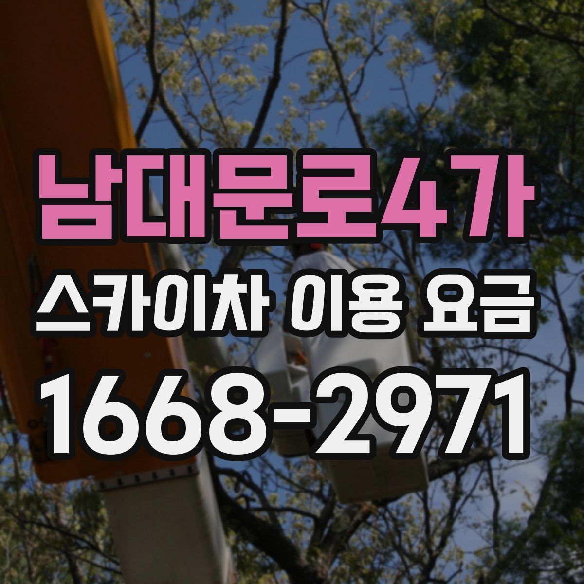 남대문로4가 스카이차 이용 요금