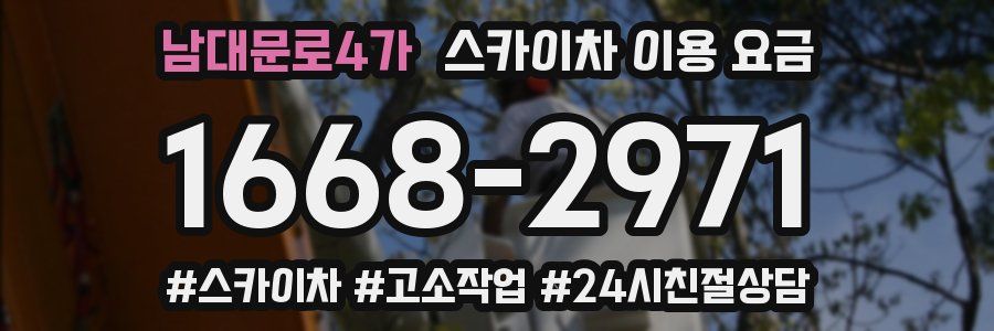 남대문로4가 스카이차 이용 요금