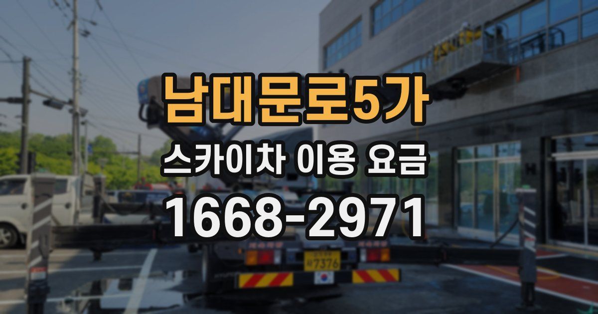 남대문로5가 스카이차 이용 요금