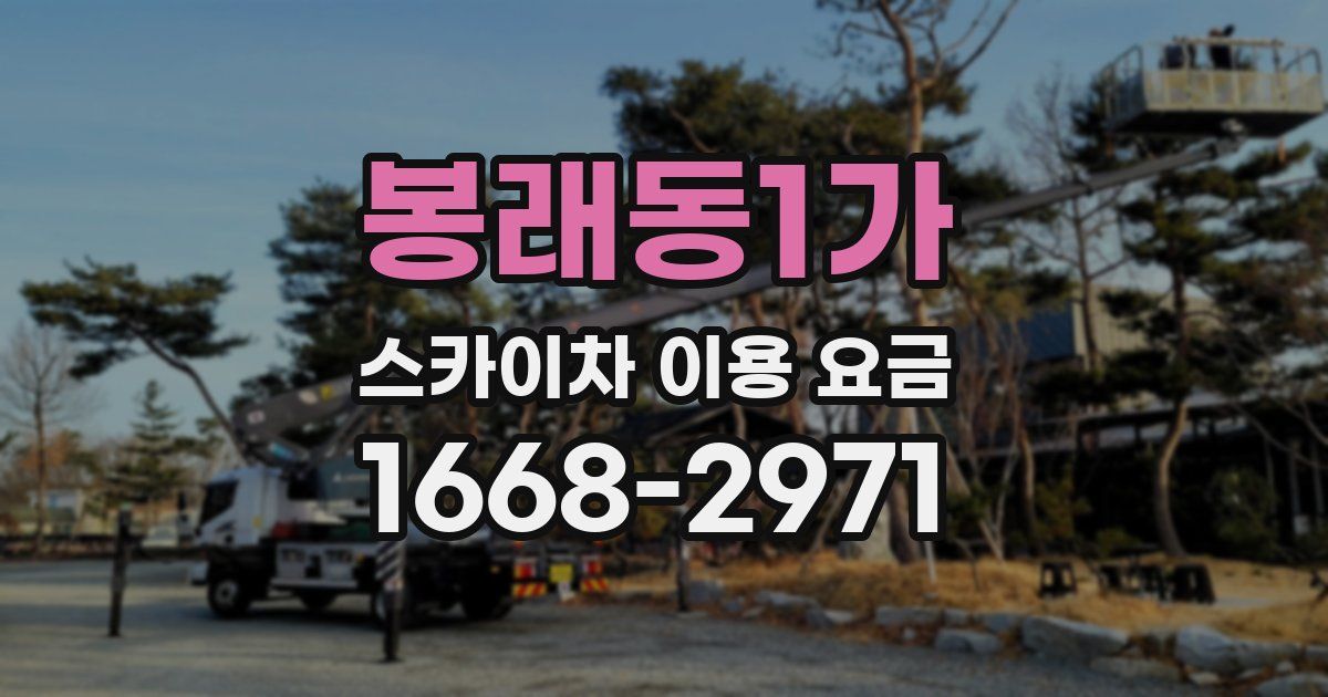 봉래동1가 스카이차 이용 요금