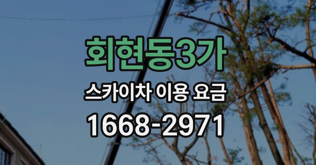 회현동3가 스카이차 이용 요금