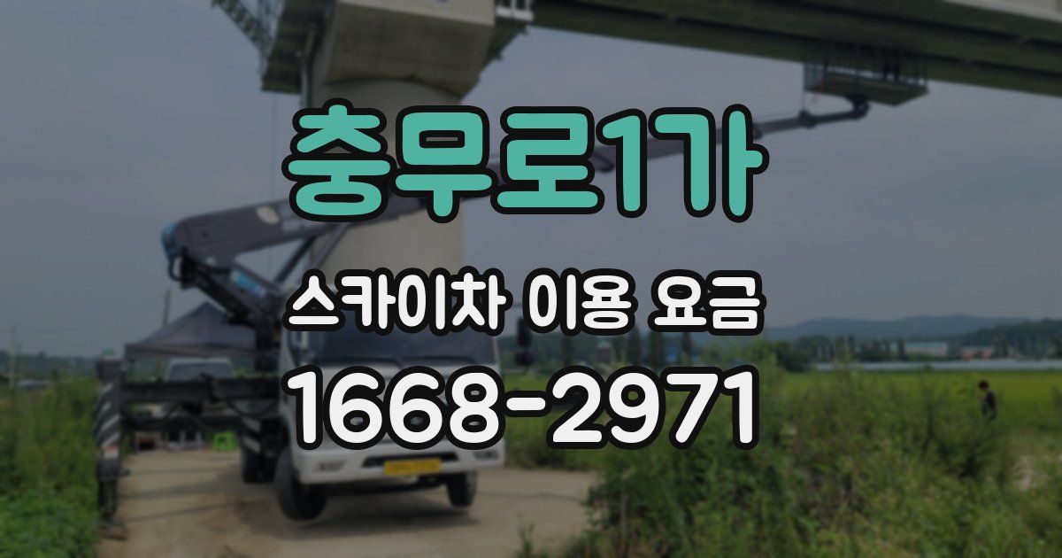 충무로1가 스카이차 이용 요금
