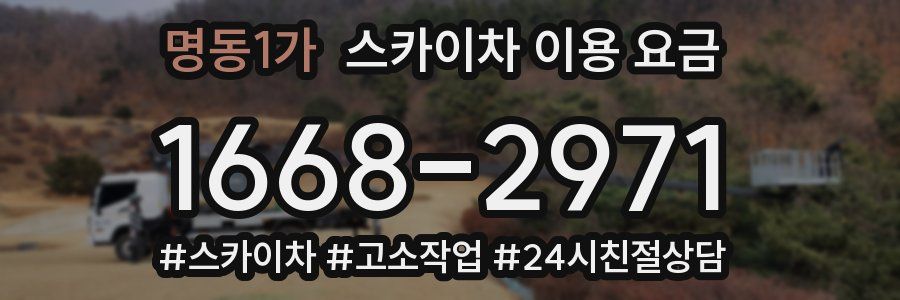 명동1가 스카이차 이용 요금
