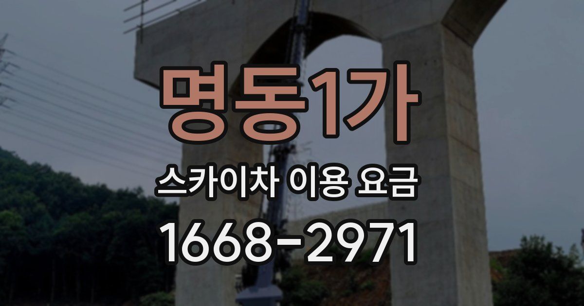 명동1가 스카이차 이용 요금