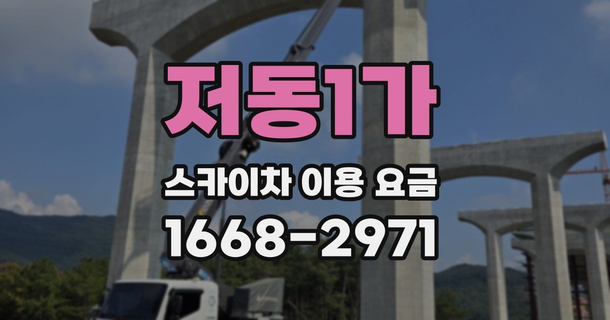 저동1가 스카이차 이용 요금