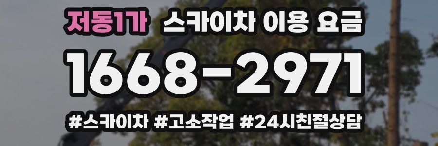 저동1가 스카이차 이용 요금