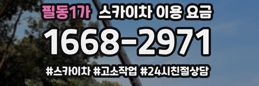 필동1가 스카이차 이용 요금