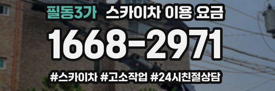 필동3가 스카이차 이용 요금