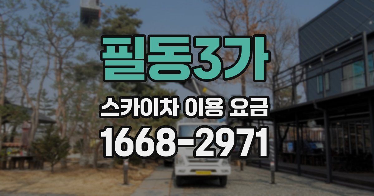 필동3가 스카이차 이용 요금