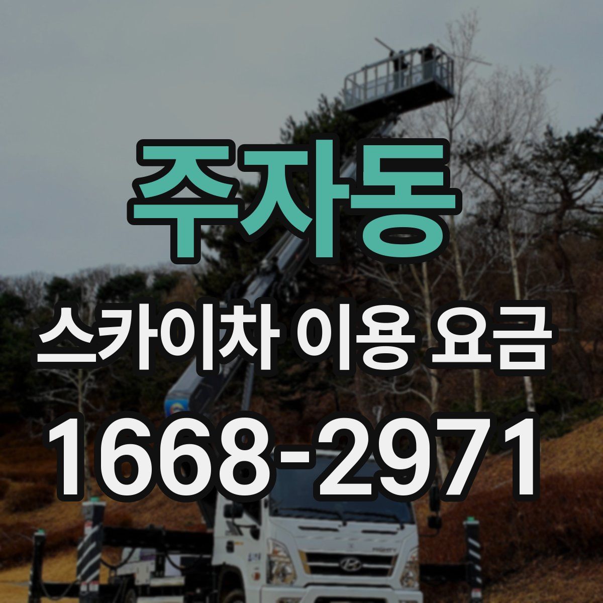 주자동 스카이차 이용 요금