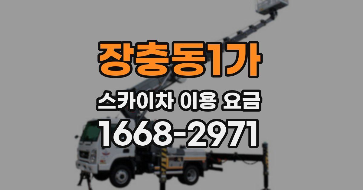 장충동1가 스카이차 이용 요금
