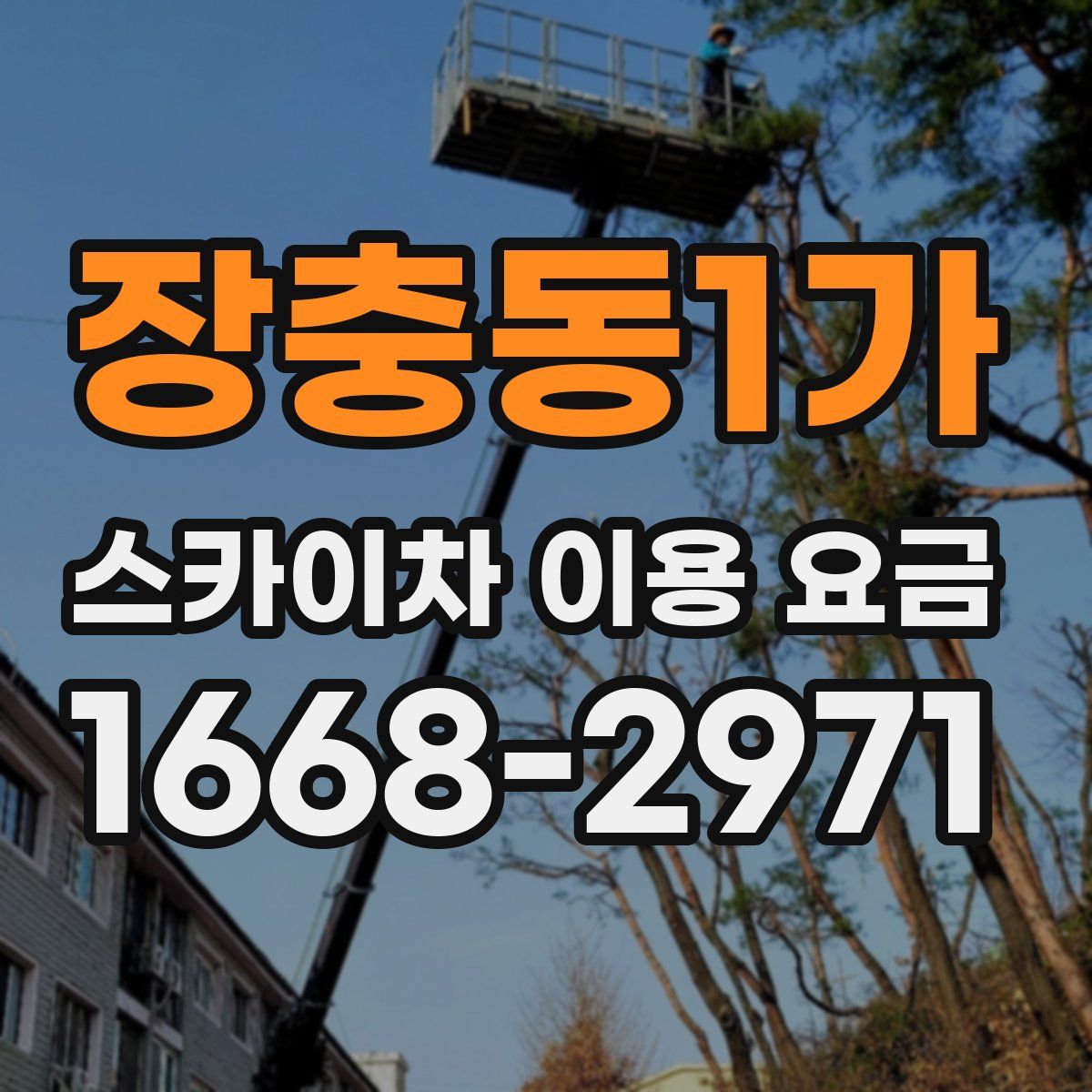 장충동1가 스카이차 이용 요금