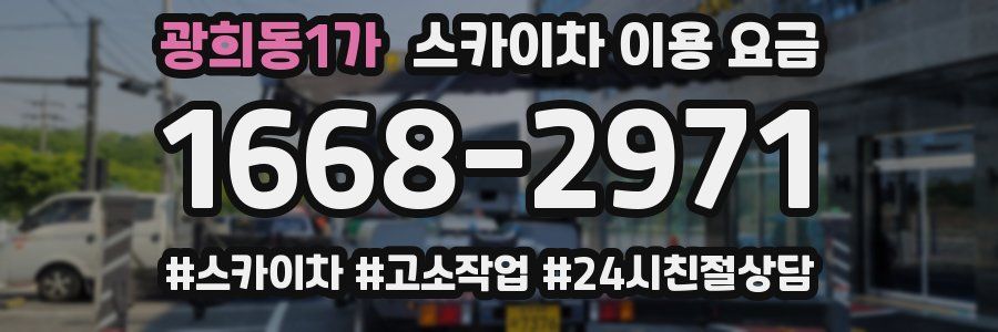 광희동1가 스카이차 이용 요금