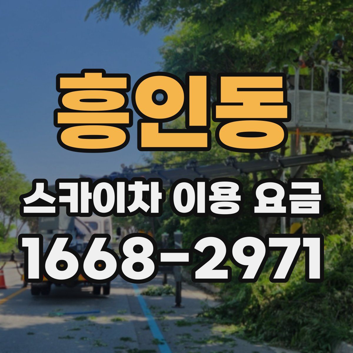 흥인동 스카이차 이용 요금