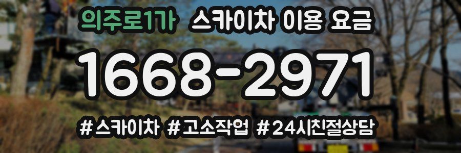 의주로1가 스카이차 이용 요금