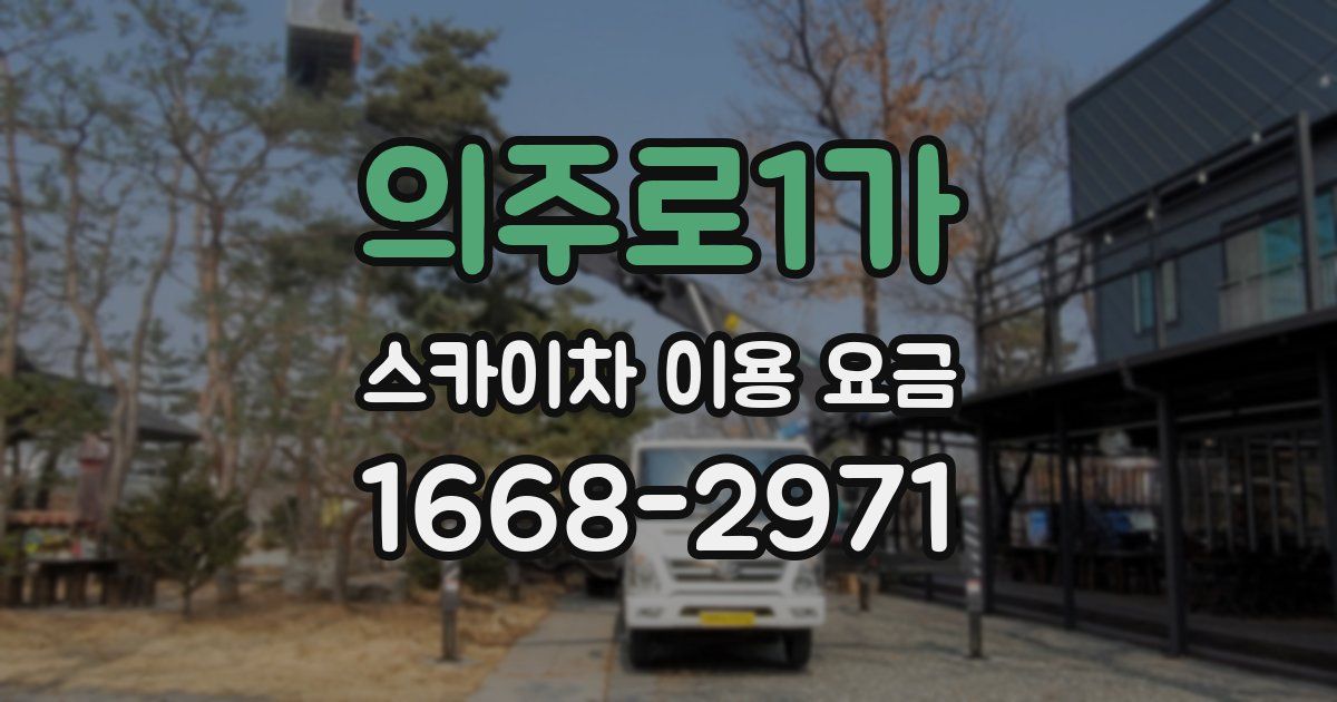 의주로1가 스카이차 이용 요금