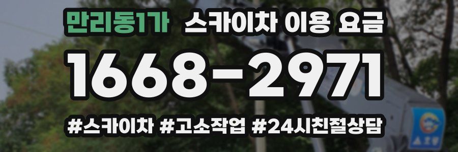 만리동1가 스카이차 이용 요금