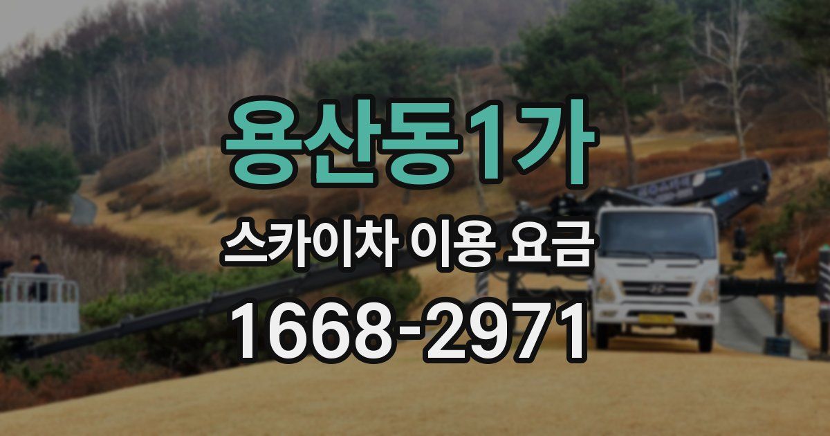 용산동1가 스카이차 이용 요금