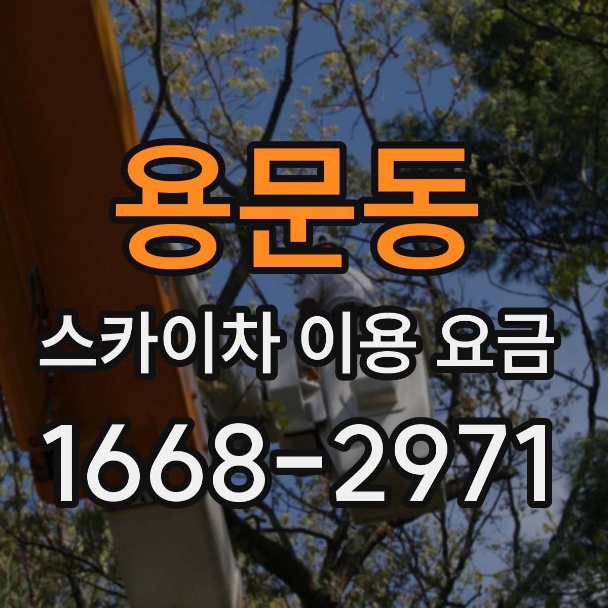 용문동 스카이차 이용 요금